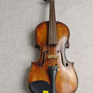 Carlo Guadagnini 1814 Turin Violin