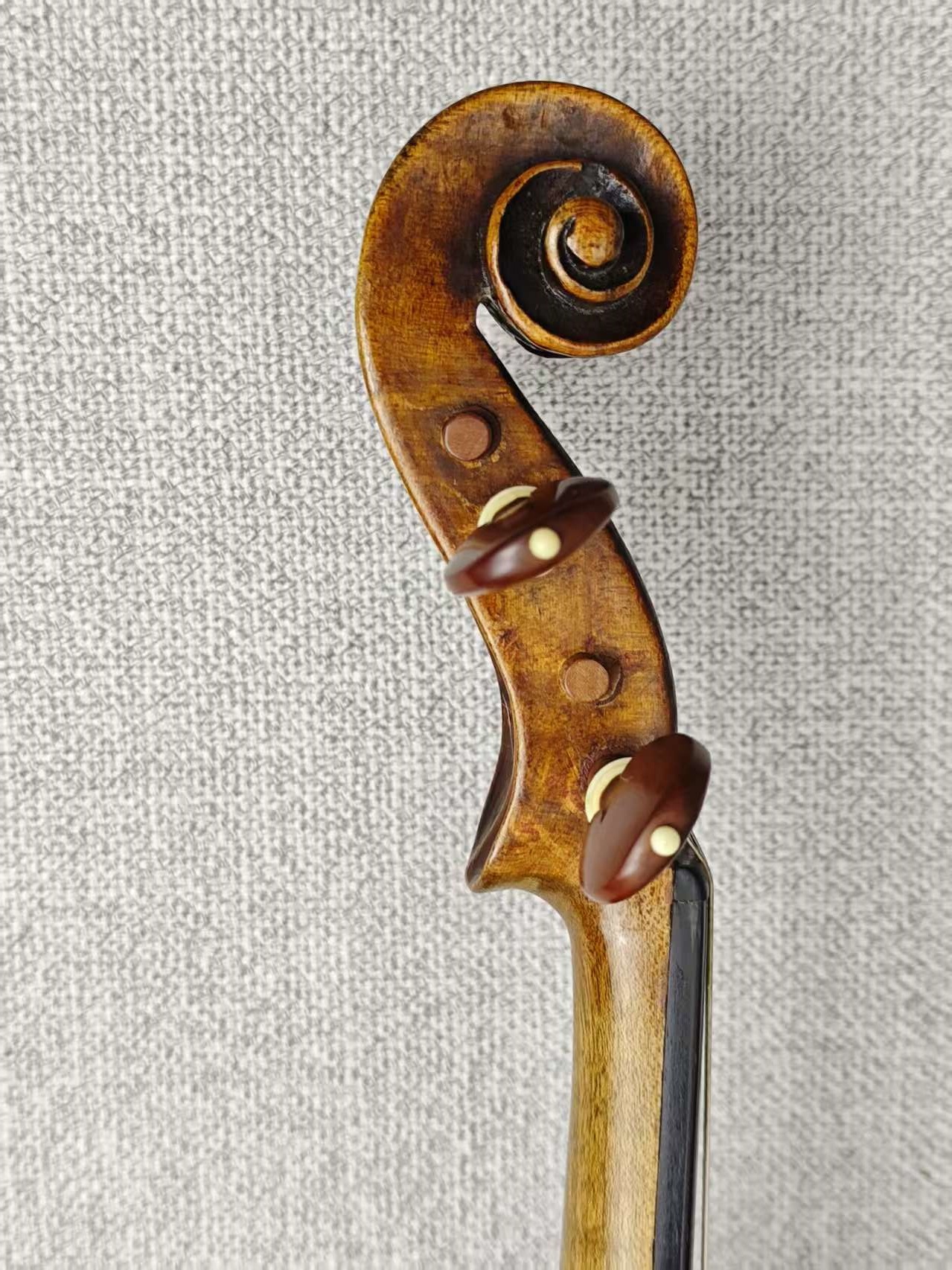 Jacbus Stainer1665 - 图片 4