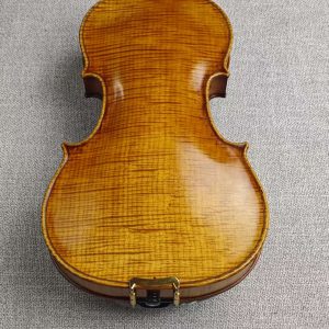 Zhang Li 2010 Concert Violin